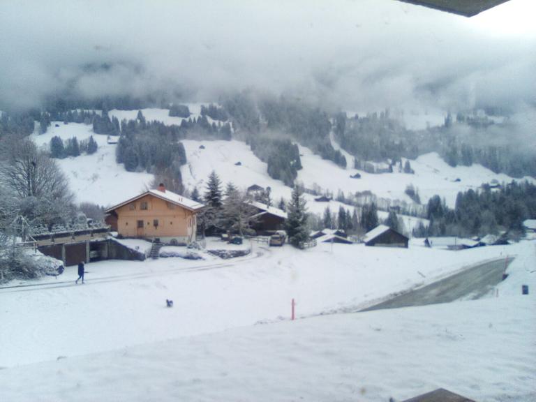 Edelweiss