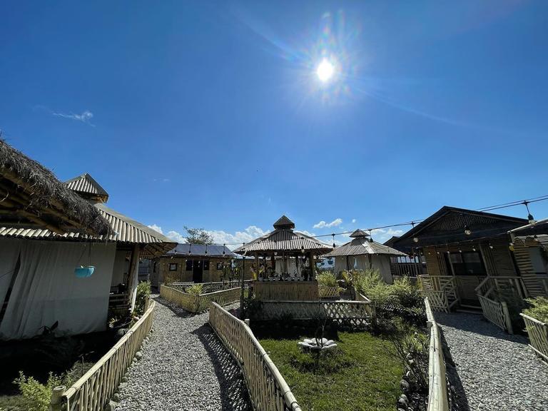 The Dragon's Farm